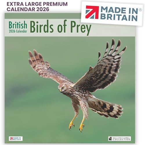 ALLTRADE Calendar 2026 British Birds of Prey Large Premium Wall 2026 Calendar UK Holidays MADE IN BRITAIN® on FSC® Paper Photos by LAURIE CAMPBELL Supports The Woodland Trust Tree Planting Great Gift