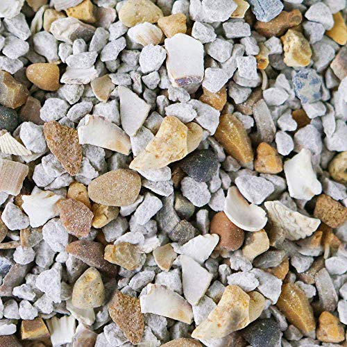 BusyBeaks Mixed Poultry Grit | Premium Quality Natural Feed Mix | Added Oyster Shell | Rich in Vitamins and Calcium | A Nutritious Supplement Food | Strong Beaks, Tough Bones & Large Eggs (1kg)