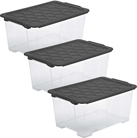 Rotho Aufbewahrungsbox mit Deckel Evo Safe 3 x 44 L Transparent Anthrazit | 3er-Set mit je 44 L, lebensmittelechtes PP für Lebensmittelkontakt, transparente Boxen für Übersicht, Deckel in Anthrazit