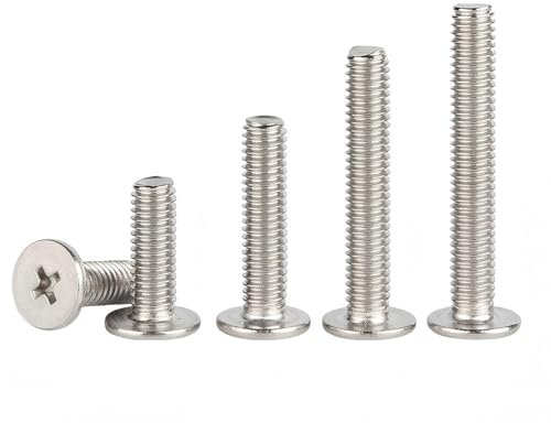 Ctyjia 20 Pièces Mince Vis à Tête Cruciforme à Tête Ronde Plate M4 x 6mm Boulons de Connexion pour Meubles, Vis en Acier Inoxydable 304