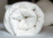 DAGOSTINO HOME BOUTIQUE COLLECTION Relleno Nórdico Edredon Cama 180-(260x240cm)-Hipoalergenico de Micro Fibra 400 gr/m2.