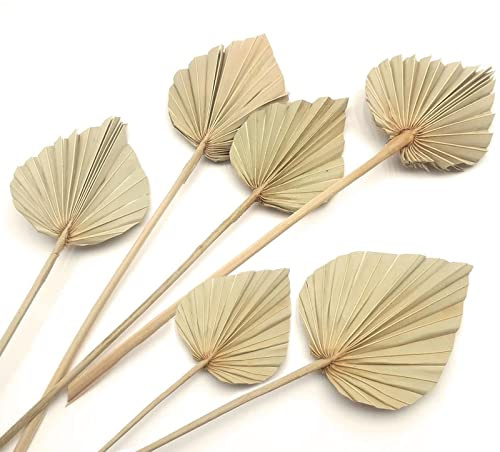 Boho Dried Palm Leaves, Small Dried Palms Plant Spears Fans, Palm Leaf with Stem for Home Office Wall Decor | Tropical Wedding Flowers Decor | Party Table Vase Decoration (Natural,6 Pcs)