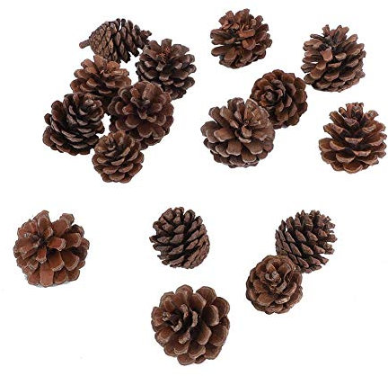 Jadeshay Noël Mini Pommes De Pin Séchées Rustiques Naturelles - 16Pcs Pommes De Pin Naturel Ornement Décoration Suspendue De Fête De Noël