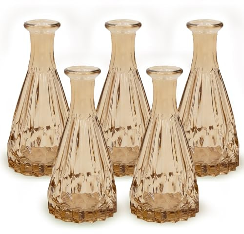 Blümelhuber 5X Kleine Vase Glas Hochzeit Deko Boho Frühling Pflanzen Trockenblumen Set