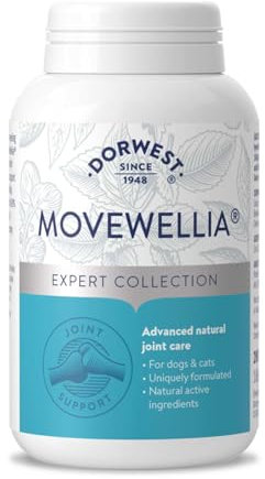 Dorwest Herbs MoveWellia Joint Care Supplement for Dogs and Cats - 200 Tablets - Natural Dog Supplements for Joint Discomfort with Boswellia, Chondroitin, Glucosamine and Celery Seed