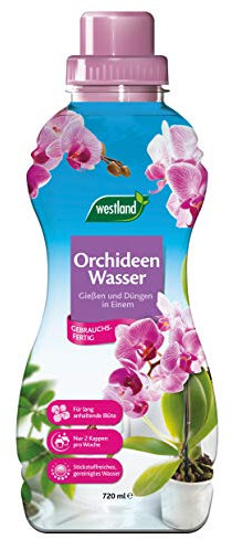 Westland Orchideen Wasser, 720 ml – Pflanzendünger für gesundes Wachstum, Flüssigdünger mit praktischer Dosierhilfe, Gießen und Düngen in Einem