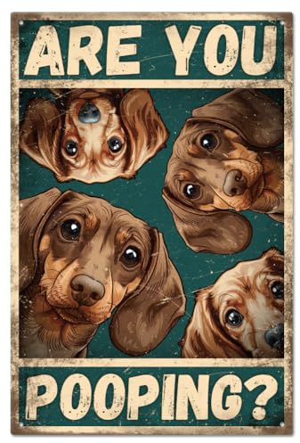 GLOBLELAND Cartel de Hojalata Vintage Dachshund are You Pooping 8×12 pulgadas Cartel Retro de Perros de Hojalata para Puerta de Habitación Pintura Artística Placa Póster Decoración de Pared para Hogar