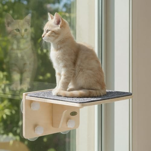 pecute Katt hängmatta med klösträd, kraftiga katthyllor i sisal, katthängmatta 30 × 27 × 16 cm med 4 kraftfulla sugkoppar och väggskruvar, lätt att montera, kattvikt upp till 10 kg
