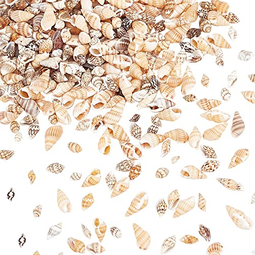 PH PandaHall Tiny Sea Shells 1~2cm Mini Sea Shells for Crafts Seashell Beads Spiral Seashells for Resin Fillers Candle Jewellery Making Beach Embellishments, No Hole, 140g