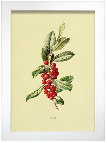 Nacnic Póster de Acebo. Colección floral vintage. Cuadros decorativos para su sala de estar, dormitorio, hogar. Impresión de arte de pared. Tamaños A4 con marcos blancos