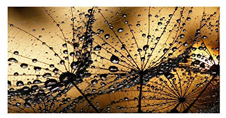 Tulup Leinwandbild - Wandkunst - Drucke auf Leinwand - Leinwanddruck -100x50 cm - Blumen & Pflanzen - Orange - Pusteblumen