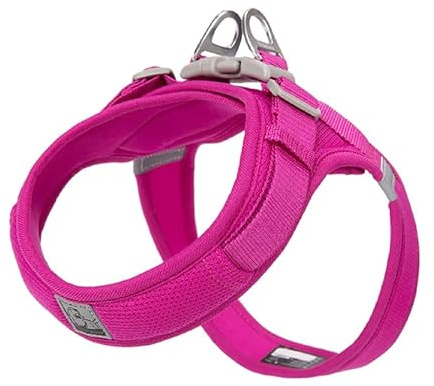 WINHYEPET Step-In Dog Harness,Easy Adjustment Harness(Fushcia,2XS) | Truelove Dog Harness Soft Mesh Reflective Breathable with Safety Buckle for Extra Small and Small Dogs