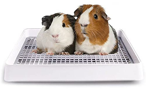 Oncpcare Meerschweinchenstreu, 38,1 x 30,5 cm, mit Gitter, Katzentoilette für Kleintiere für Käfig, Kaninchenbadetrainer, Töpfchentrainer für Frettchen