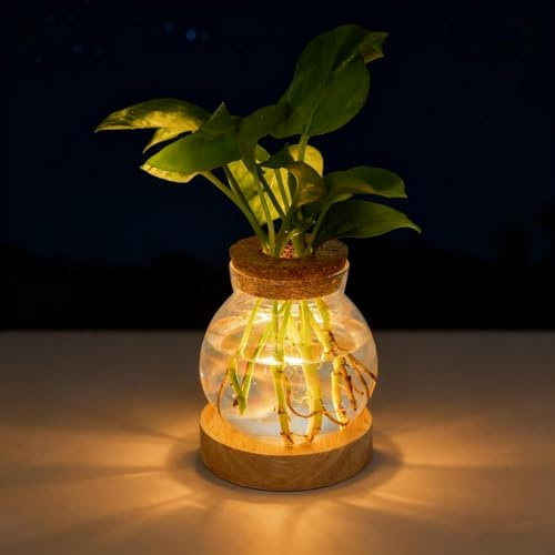 LED Light-Up Hydroponic Vase,Plant Propagation Station with Wooden Saucer, Glass Terrarium with Stepless Dimming Function Container Jars Gardening Gifts for Mom Women Plant Lovers