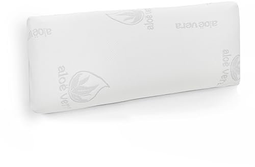Aitsse- Almohada viscoelástica con núcleo 100% Viscoelástico, Funda de Aloe Vera Desenfundadle, Ergonómica, Anti bacterias, Termorregulable y Libera la presión Cervical. (Visco 90 cm)