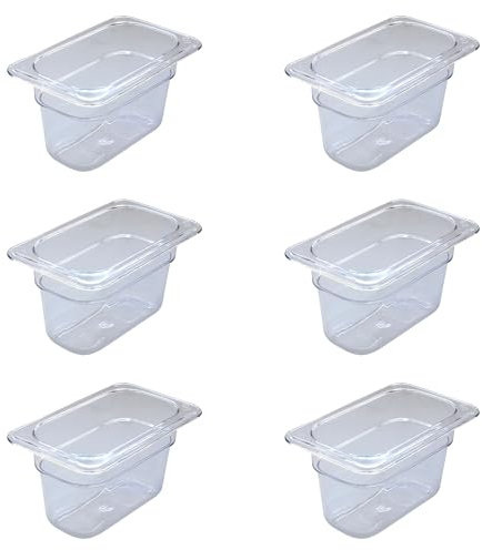 AcMax Lot de 6 récipients Gastronorm GN 1/9 en polycarbonate GN 0,8 l Profondeur 100 mm Plastique