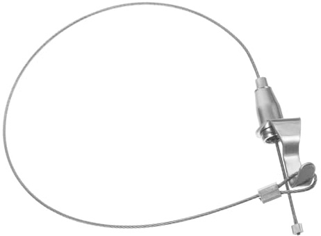 Ciieeo Adjustable Stainless Steel Hanging Wire Rope for Photo Frames and Light Displays Gallery and Exhibition Wire with Quick Release Hooks Flexible for Artwork and Lamp Hanging