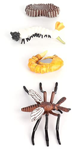 Hidyliu Insekts Livscykel Pedagogiska Figurer Naturtrogna Myra och Mygga Modell för Skolprojekt 4-pack (#1)