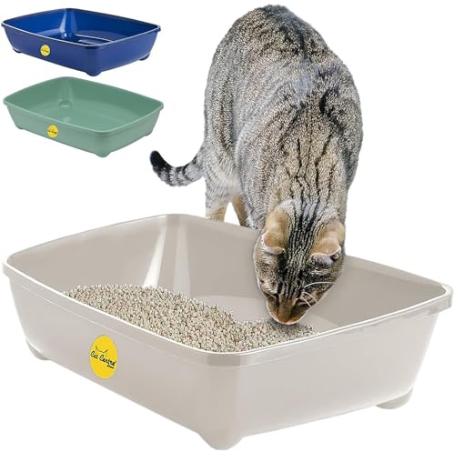 CAT CENTRE Grey Jumbo Open Cat Litter Tray 56cm XL, Rounded Corners | Easy Clean Plastic Litter Pan, Portable Loo Box, Indoor & Outdoor, Kittens, Adult & Elderly Cats