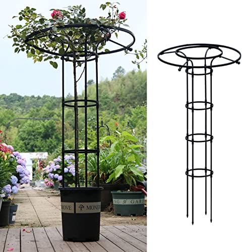 RADAAB Obélisque de Jardin extérieur 90cm 120cm 150CM 180cm 210cm Cage de Tomate Noire, Parasol Jardin en Pot Plante Support, Vigne Rose antirouille Enduit Support en métal (Size : 90cm/3ft)