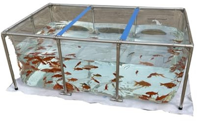 Pool über dem Boden, transparenter Aquariumpool, Teich mit Ablassventil, PVC-Plane mit Stahlrahmen für Teiche, Fische, ClearTank, Koi, Goldfische (Farbe: Klar, Größe: 2 x 1,5 x 0,9 m)