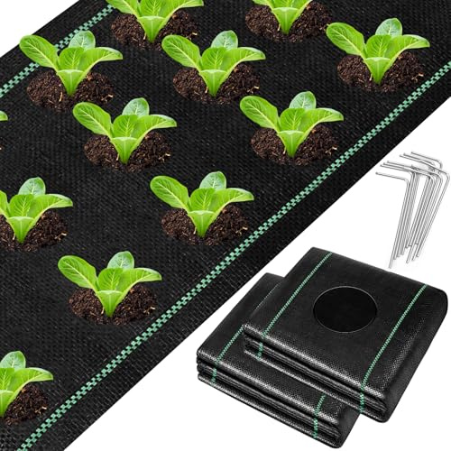 UNIFAMILY Landscape Fabric Heavy Duty 2Pcs, Total 4 x 50Ft Barrier Fabric with Planting Holes, Garden Ground Cover Fabric, Garden Sheets Planting Fabric, Gardening Fabric