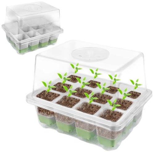 Leikurvo Invernadero de interior, bandeja de cultivo reutilizable con 12 agujeros para plantas y tapa elevada, mini invernadero para plantas, hierbas, flores, verduras, frutas