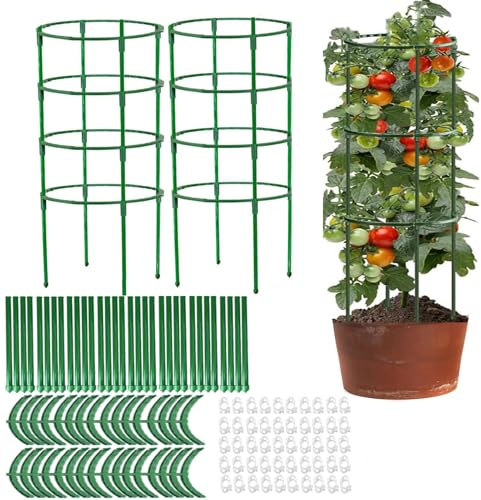 Tomaten Rankhilfe, 100cm x 2pcs Rankhilfe Garten Mit Verstellbarer Höhe, Unbegrenztes Spleißen Pflanzen Rankhilfe, Gurken Rankhilfe, Rankgitter Für Tomaten, Tomatenturm, Blumenstütze (100 * 2pcs)