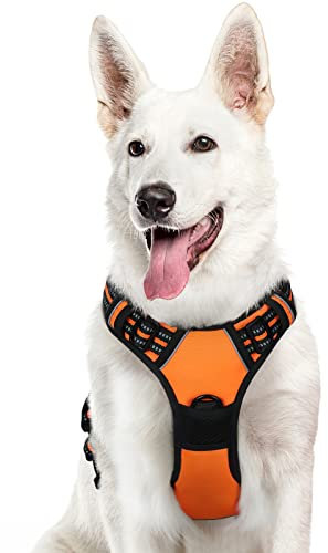 Eagloo Hundegeschirr Grosse Hunde, Anti Zug Hundegeschirr mit Reflexstreifen und Kontrolle, Verstellbar und Einstellbar Geschirr Hund Groß, Brustgeschirr für Labrador, Orange, XL