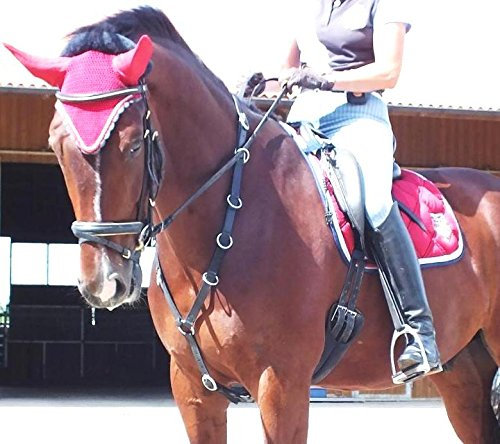 gs- Sports Martingal, REIT.- und Longierhilfe, reiten Lernen mit leichtesten Zügelhilfen (VB Vollblut)