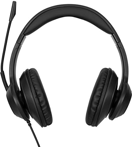 Targus Stereo-Headset, kabelgebunden, USB-Anschluss, 1,8 m Kabel, mit omnidirektionalem Bügelmikrofon und Umgebungsgeräusch-Unterdrückungstechnologie, Schwarz, 17,50 x 17,80 x 7,50 cm, AEH102GL