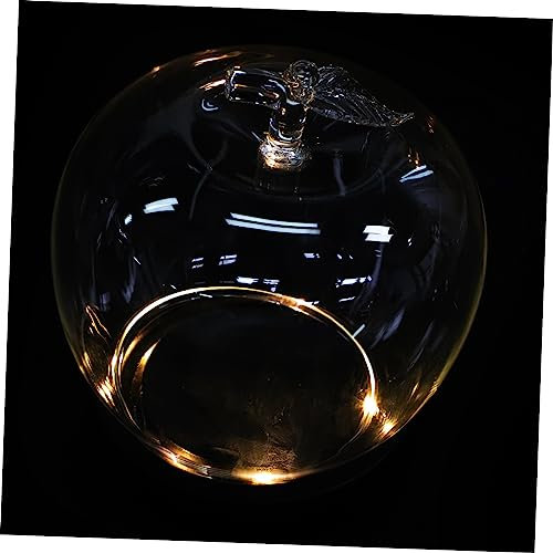RORPOIR Apple Glass Cover Dome Creative Glass Cloche for Preserved Flowers Desktop Decor Glowing Base