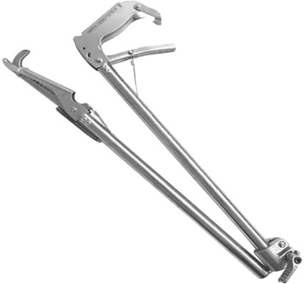 HOLIDYOYO Pinza Antiscivolo in Acciaio Inossidabile per Anguille e Granchi Design Multifunzione Adatta per Barbecue e Strumento Facile da Usare