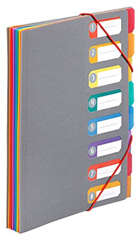 Viquel - Ordnungsmappe A4 mit 8 Fächern Rainbow Touch, Grau