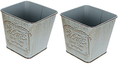 FONDOTIN 2pièces Pot De Vintage pour Plantes Seau De Jardin Pratique pour Décoration Intérieure Et Extérieure