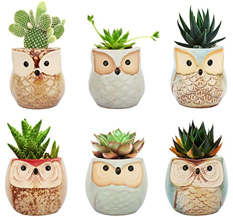 Lewondr 6PZS Macetas Decorativas para Flores y Plantas, 6.4 cm Alta Juego de Tiestos Pequeños de Forma Búho de Cerámica con Drenaje para Suculentas Cactus para Mesa Jardín Oficina, Kit 1