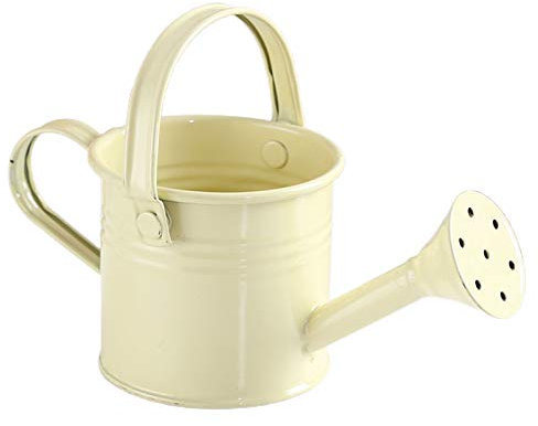 Flueyer Arrosoir en métal, petit arrosoir portable pour enfants, équipement d'arrosage intérieur, mini arroseur avec revêtement en poudre antirouille et belle couleur