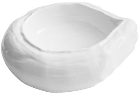 Mikinona Insalatiera Design Irregolare per Frutta e Dessert Facile Riutilizzabile per Uso e Ristoranti