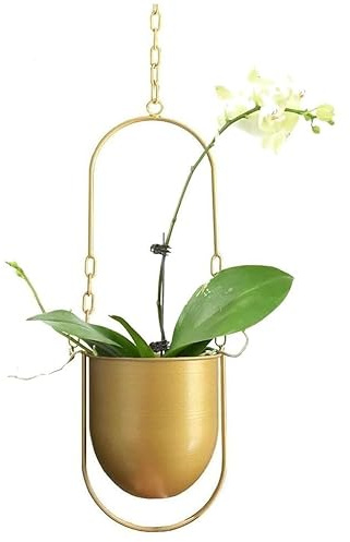 PGPBVLVGHM Maceta Colgante de Metal Estilo Bohemio for Colgar en el Techo, Ideal for Plantas de Interior, suculentas, Plantas de Aire y Cactus.(Gold)