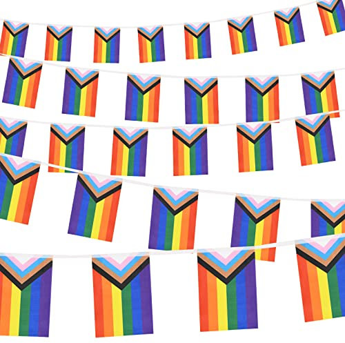 Paezm 32.8ft 38 Pcs Progress Pride Pennant Flags Banner, Rainbow Striped Pride Day Banner, Polyester, 14x21cm, 10m