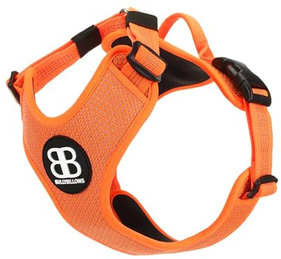 BullyBillows Active Light Hundegeschirr mit Griff – Orange, Gr. S | Reflektierendes 3M-Material, wasserabweisend, Neopren-Polsterung, Notfall-Haltegriff. Für alle Hunderassen.