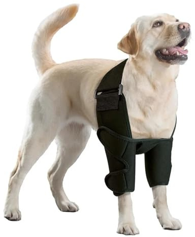 Hunde-Ellenbogenbandage, Protektoren, Vorderbein-Bandage für Ellenbogen-Arthritis, bietet Ellenbogenunterstützung und Schutz, Vorderbein (L)