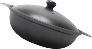 TOYANDONA Cazuela De Hierro Fundido 22 Cm Tapa De Hierro Resistente a Altas Temperaturas Para Arroz y Pollo Estofado, Recipiente Para Cocinar Casa, Maceta Para Guisos