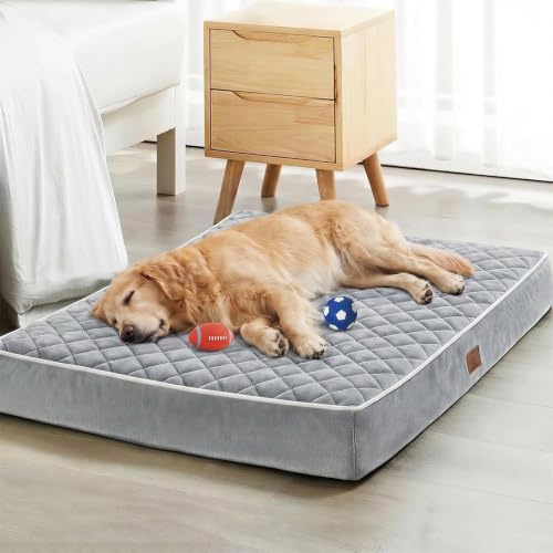 Quilmfoam Orthopedic Waterproof Extra Large Senior Dogs Bed for Comfy Sleep | XL Washable Ped Bed with Removable Cover, Multi-Needle Quilting XL Crate Bed for Large Sized Dog Relax, Light Grey