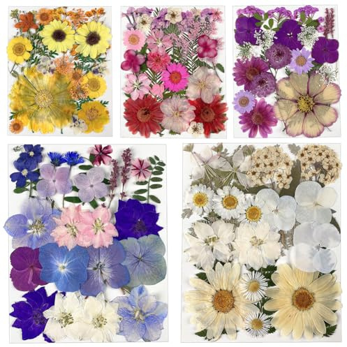 125 st tryckta torkade blommor för hartsformar, naturliga torkade blomblad i granulat, riktigt örtsats för DIY-hantverk, vaxljus, papperets smycken (uppsättning A)