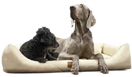 tierlando® Orthopädisches Hundebett William Easy-Clean, Luxus Hundesofa aus Kunstleder für Allergiker mit Memory Foam Matratze, Größe: 90x75cm | Farbe: 05 Creme