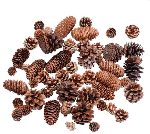 50pcs Natural Pine Cones Decorations Rustic Pine Cone Ornaments Bulk for DIY Crafts Gifts Fall Thanksgiving Table Christmas Wreath Decor Home Decor, 5 Sizes