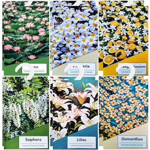 12pcs Wäscheduft Schrank Duftsäckchen Kleiderschrank Dufterfrischer, Schrankduft Frische, Duftbeutel Kleiderschrank Duft Hanging Beutel, Schrankdeo Natürlichen Geruch Sachet (12st)