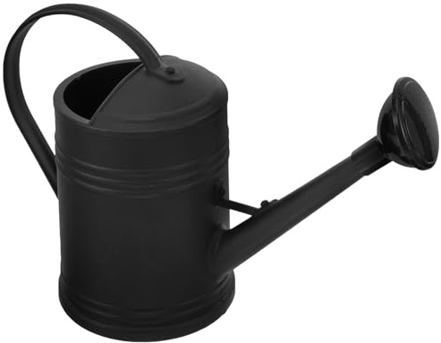 BIUDECO Regadera 10 litros de Plástico para Jardín Exterior E Interior Cabezal Rociador Resistente y Diseño Ergonómico para Regar Plantas Fácilmente Reutilizable