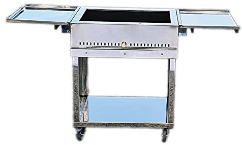 Barbecue inox 60 x 40 cm Fourchette à charbon de bois en acier inoxydable avec chariot